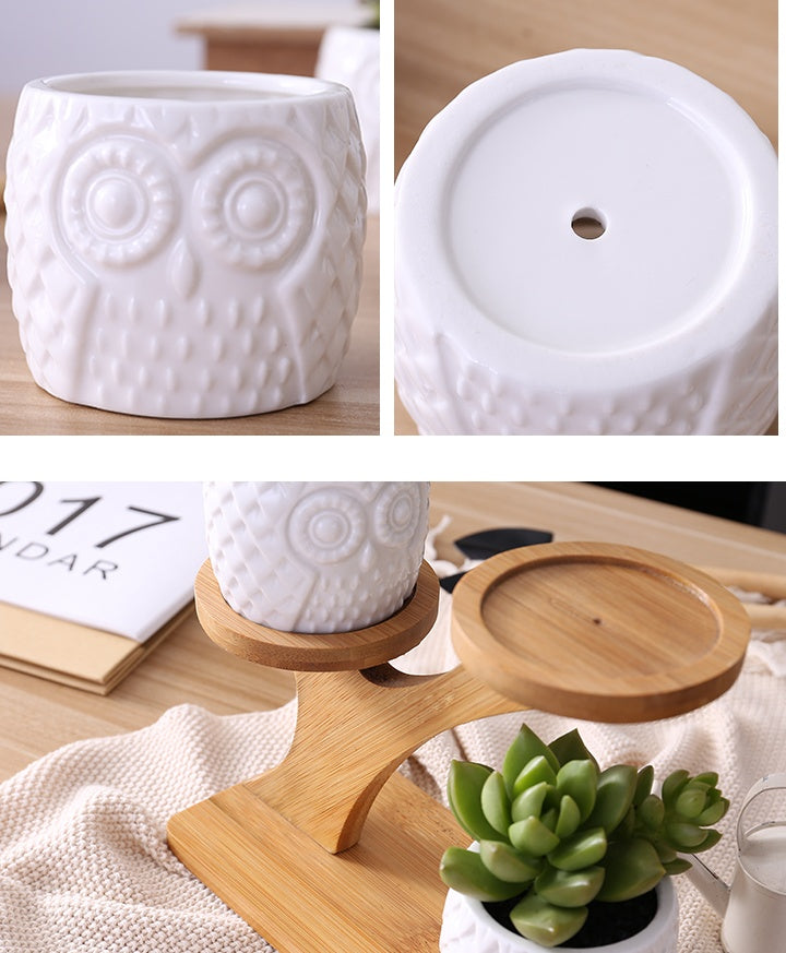 Ceramic Owl Planter Set with Bamboo Frame Stand