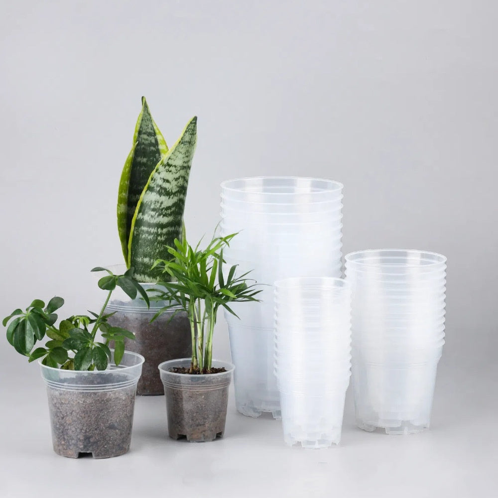 Transparent Nursery Flower Pot with Lid for Seed Starting and Plant Growth