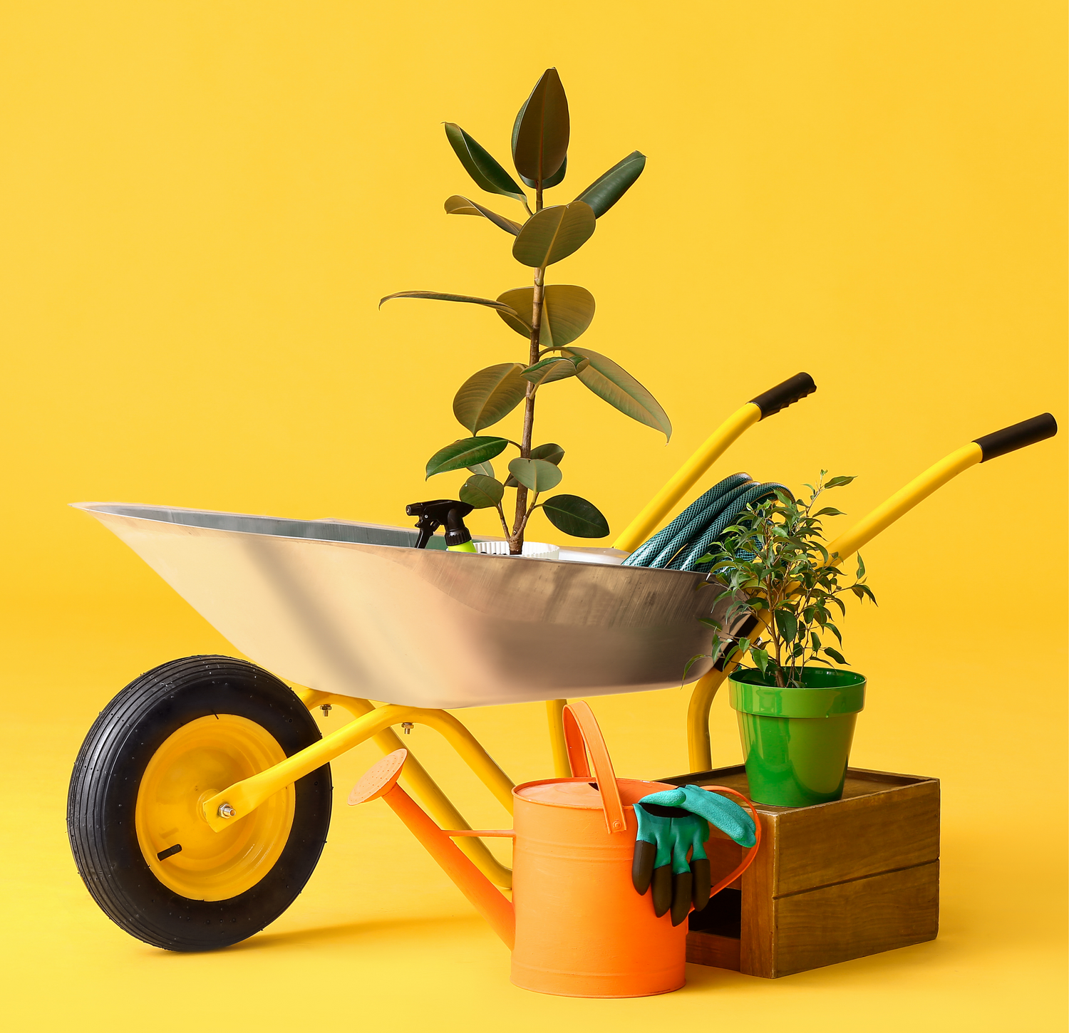 Plant Support & Accessories