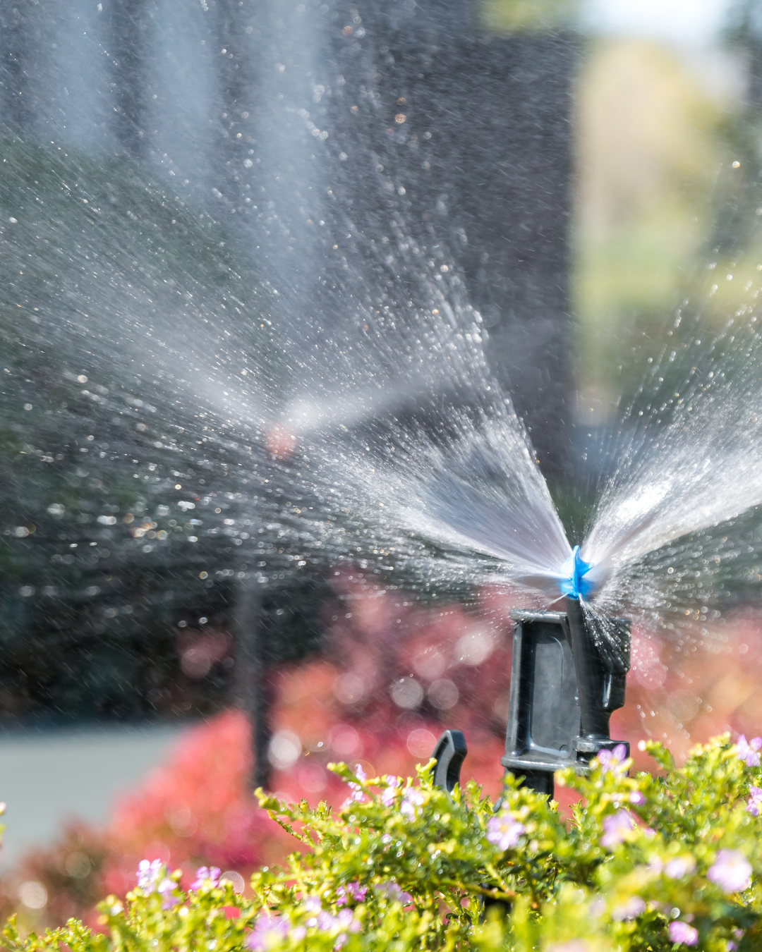 Watering & Irrigation