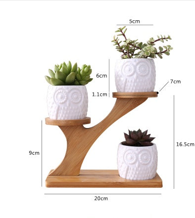 Ceramic Owl Planter Set with Bamboo Frame Stand