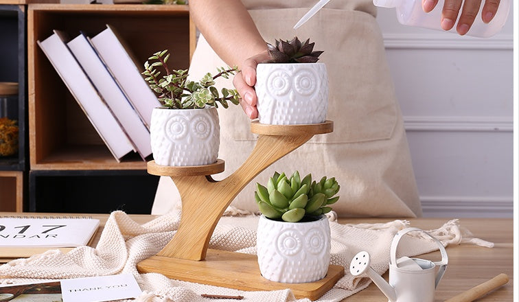 Ceramic Owl Planter Set with Bamboo Frame Stand