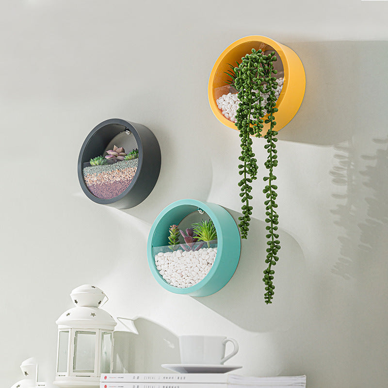 Round Wall Hanging Planter Vase for Indoor Home Décor