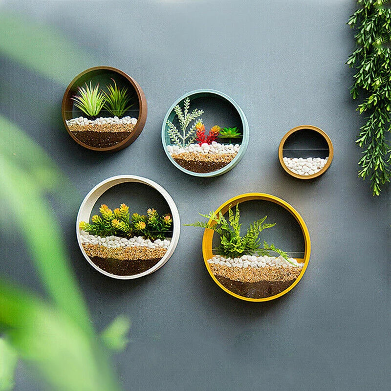 Round Wall Hanging Planter Vase for Indoor Home Décor