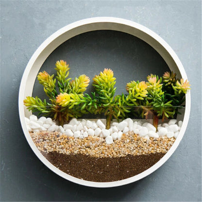 Round Wall Hanging Planter Vase for Indoor Home Décor