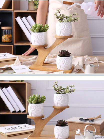 Ceramic Owl Planter Set with Bamboo Frame Stand