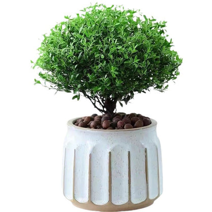 Nordic Striped Ceramic Flower Pot for Desktop Green Plants