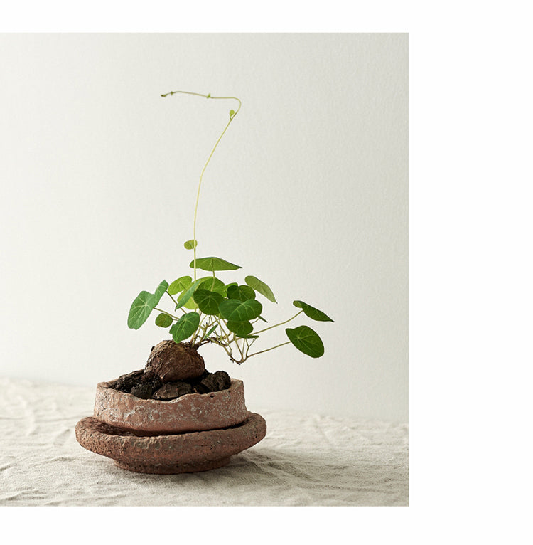Retro Red Ceramic Flowerpot with Hammer Pattern Finish