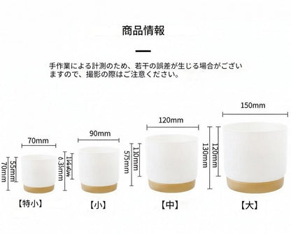 Small Automatic Water Absorption Flower Pot for Home Gardening and Desktop Use