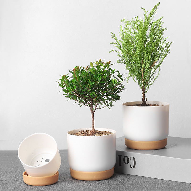 Small Automatic Water Absorption Flower Pot for Home Gardening and Desktop Use