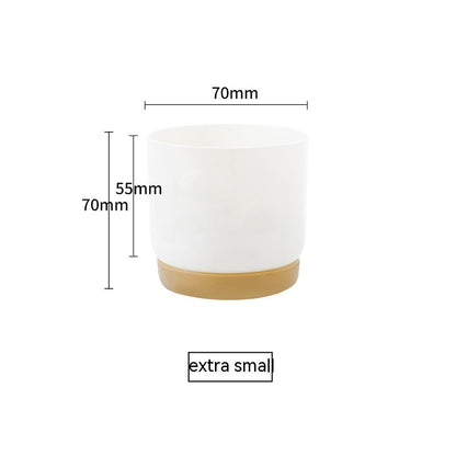 Small Automatic Water Absorption Flower Pot for Home Gardening and Desktop Use