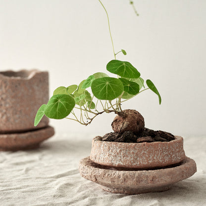 Retro Red Ceramic Flowerpot with Hammer Pattern Finish